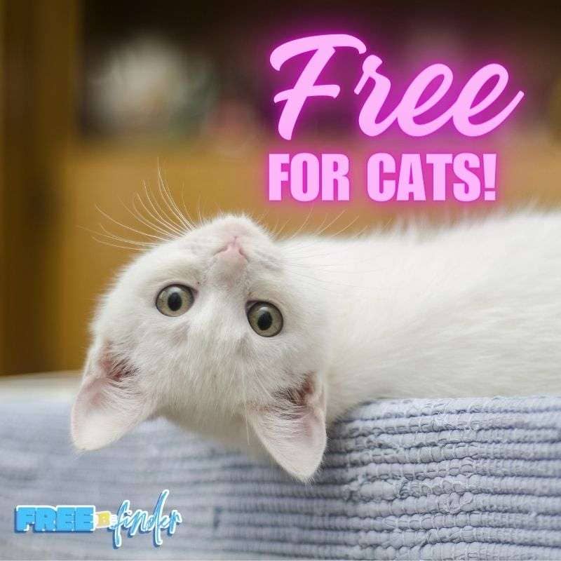 Free Full Size Lickable Cat Treats! - FreeBFinder.com